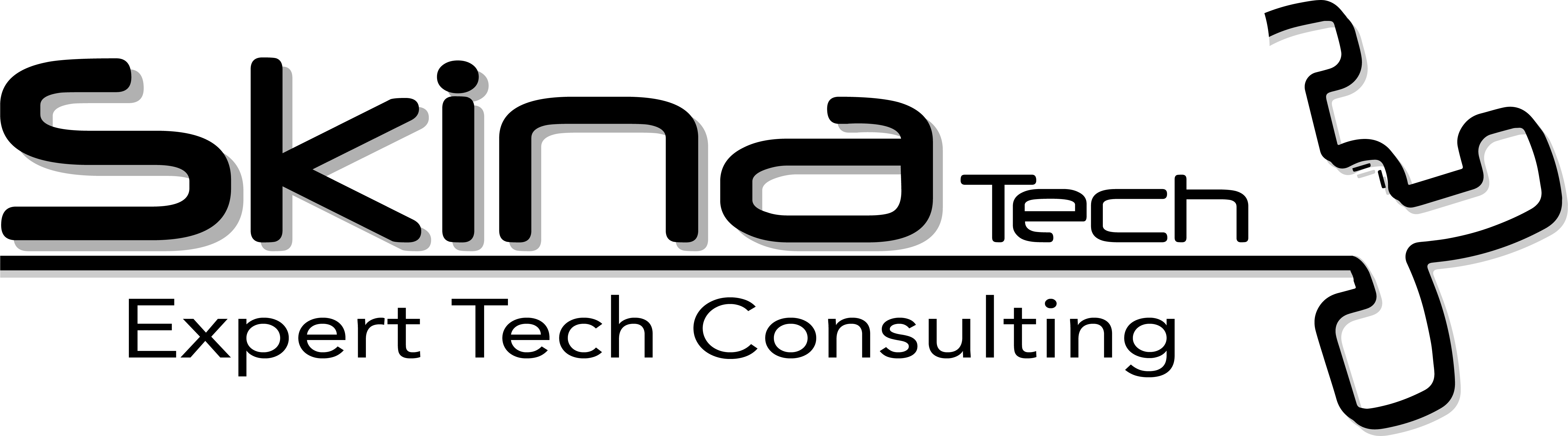 skina